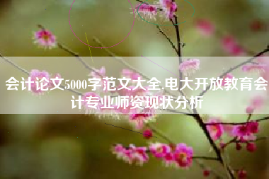 会计论文5000字范文大全,电大开放教育会计专业师资现状分析