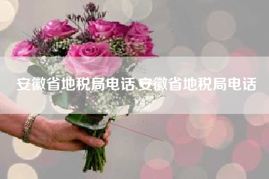 安徽省地税局电话,安徽省地税局电话