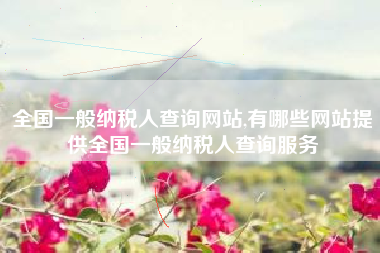 全国一般纳税人查询网站,有哪些网站提供全国一般纳税人查询服务