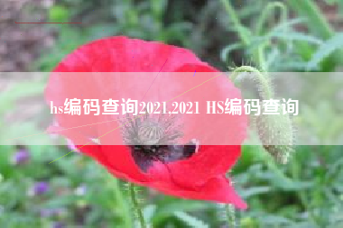 hs编码查询2021,2021 HS编码查询