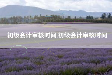 初级会计审核时间,初级会计审核时间