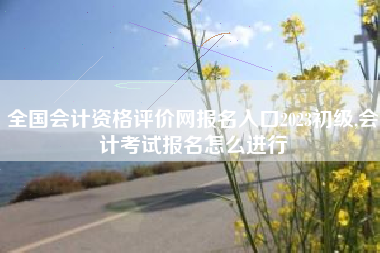 全国会计资格评价网报名入口2023初级,会计考试报名怎么进行