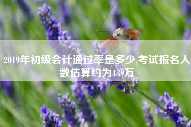 2019年初级会计通过率是多少,考试报名人数估算约为439万