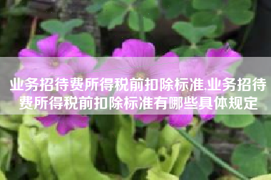 业务招待费所得税前扣除标准,业务招待费所得税前扣除标准有哪些具体规定