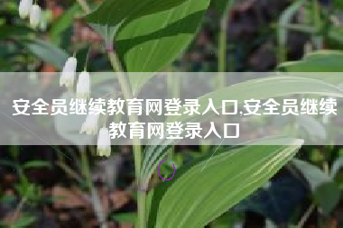 安全员继续教育网登录入口,安全员继续教育网登录入口