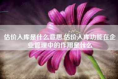 估价入库是什么意思,估价入库功能在企业管理中的作用是什么