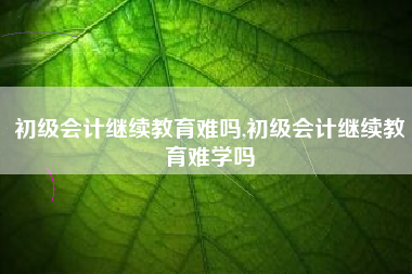 初级会计继续教育难吗,初级会计继续教育难学吗