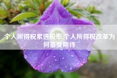 个人所得税累进税率,个人所得税改革为何备受期待