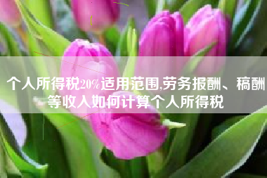 个人所得税20%适用范围,劳务报酬、稿酬等收入如何计算个人所得税