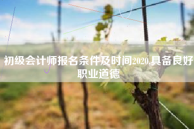 初级会计师报名条件及时间2020,具备良好职业道德