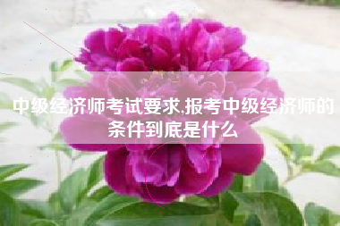 中级经济师考试要求,报考中级经济师的条件到底是什么