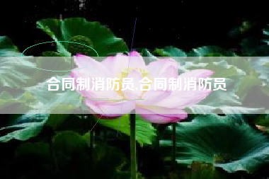 合同制消防员,合同制消防员