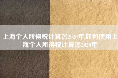 上海个人所得税计算器2020年,如何使用上海个人所得税计算器2020年