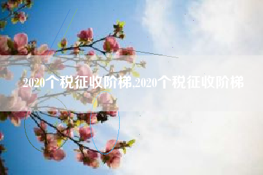2020个税征收阶梯,2020个税征收阶梯