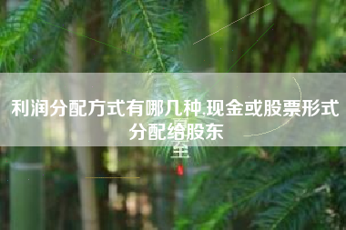利润分配方式有哪几种,现金或股票形式分配给股东