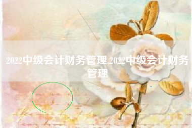 2022中级会计财务管理,2022中级会计财务管理