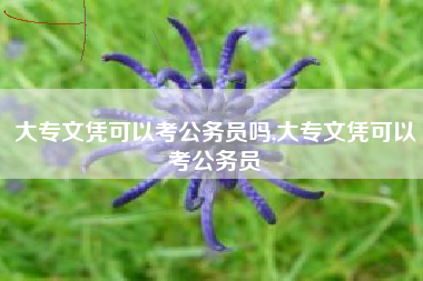 大专文凭可以考公务员吗,大专文凭可以考公务员