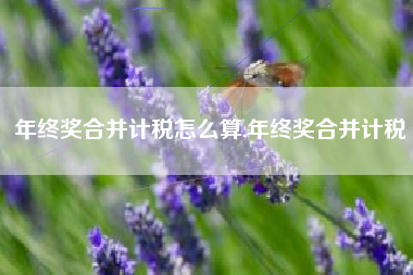 年终奖合并计税怎么算,年终奖合并计税