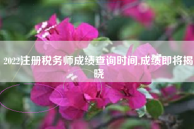 2022注册税务师成绩查询时间,成绩即将揭晓