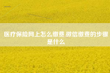 医疗保险网上怎么缴费,微信缴费的步骤是什么