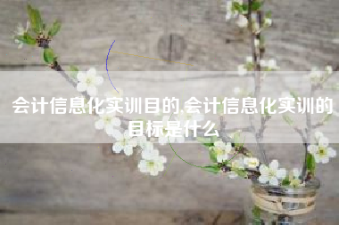 会计信息化实训目的,会计信息化实训的目标是什么