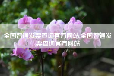 全国普通发票查询官方网站,全国普通发票查询官方网站