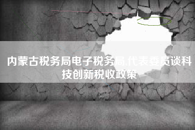 内蒙古税务局电子税务局,代表委员谈科技创新税收政策