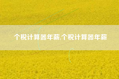 个税计算器年薪,个税计算器年薪