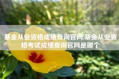 基金从业资格成绩查询官网,基金从业资格考试成绩查询官网是哪个