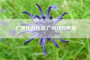 广州代办执照,广州代办执照