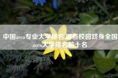 中国acca专业大学排名,哪些校园跻身全国acca大学排名前十名