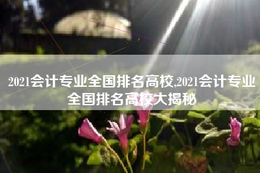 2021会计专业全国排名高校,2021会计专业全国排名高校大揭秘