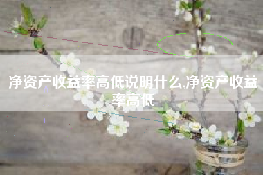 净资产收益率高低说明什么,净资产收益率高低