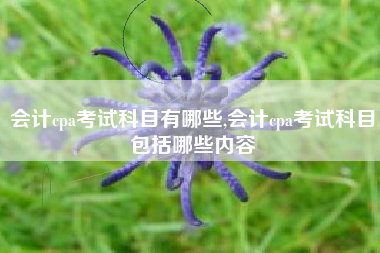 会计cpa考试科目有哪些,会计cpa考试科目包括哪些内容