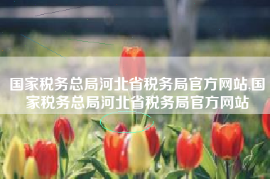 国家税务总局河北省税务局官方网站,国家税务总局河北省税务局官方网站