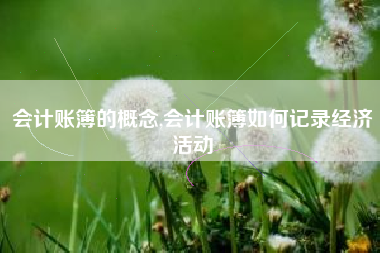 会计账簿的概念,会计账簿如何记录经济活动