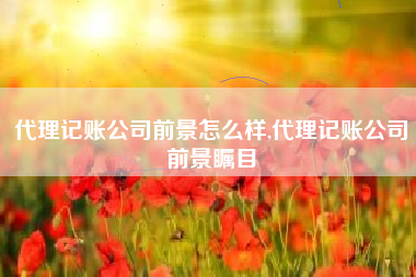 代理记账公司前景怎么样,代理记账公司前景瞩目