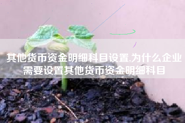 其他货币资金明细科目设置,为什么企业需要设置其他货币资金明细科目