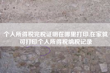 个人所得税完税证明在哪里打印,在家就可打印个人所得税纳税记录