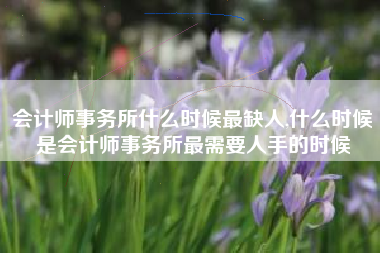 会计师事务所什么时候最缺人,什么时候是会计师事务所最需要人手的时候