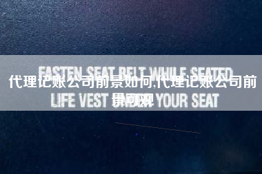 代理记账公司前景如何,代理记账公司前景可观