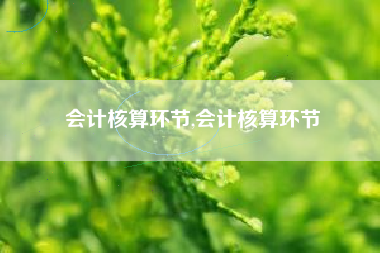 会计核算环节,会计核算环节