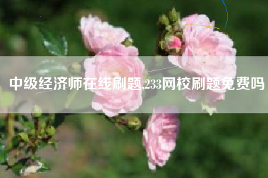 中级经济师在线刷题,233网校刷题免费吗