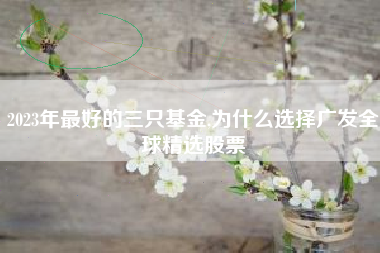 2023年最好的三只基金,为什么选择广发全球精选股票