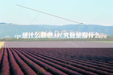 epc是什么意思,EPC究竟是指什么