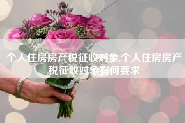 个人住房房产税征收对象,个人住房房产税征收对象有何要求