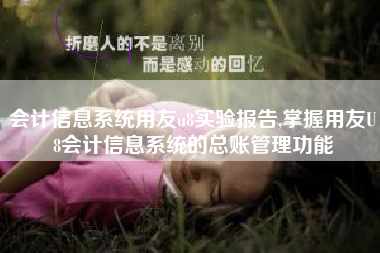 会计信息系统用友u8实验报告,掌握用友U8会计信息系统的总账管理功能