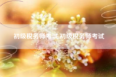 初级税务师考试,初级税务师考试