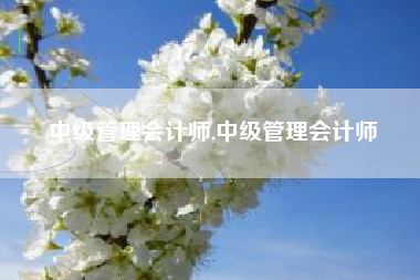 中级管理会计师,中级管理会计师