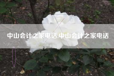 中山会计之家电话,中山会计之家电话
